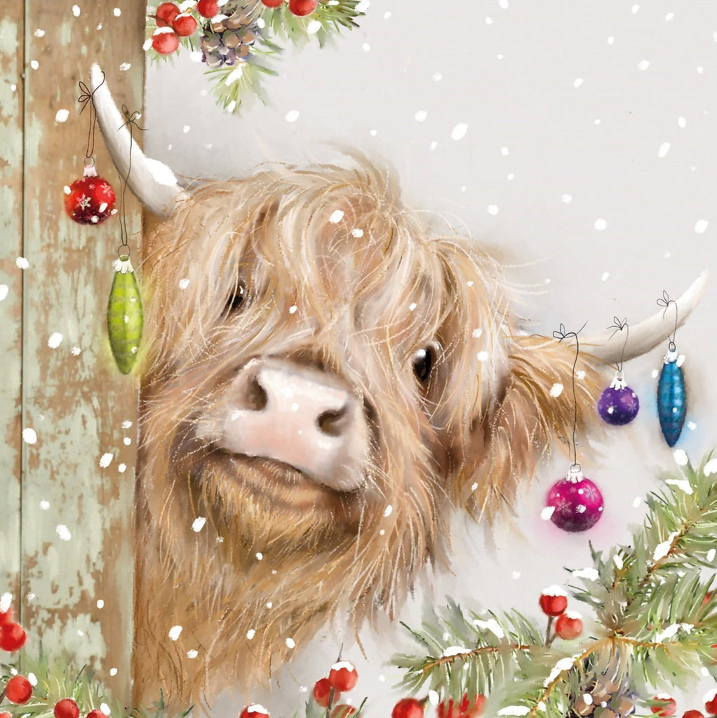 Angus Adorned 10 or 20 Christmas Cards