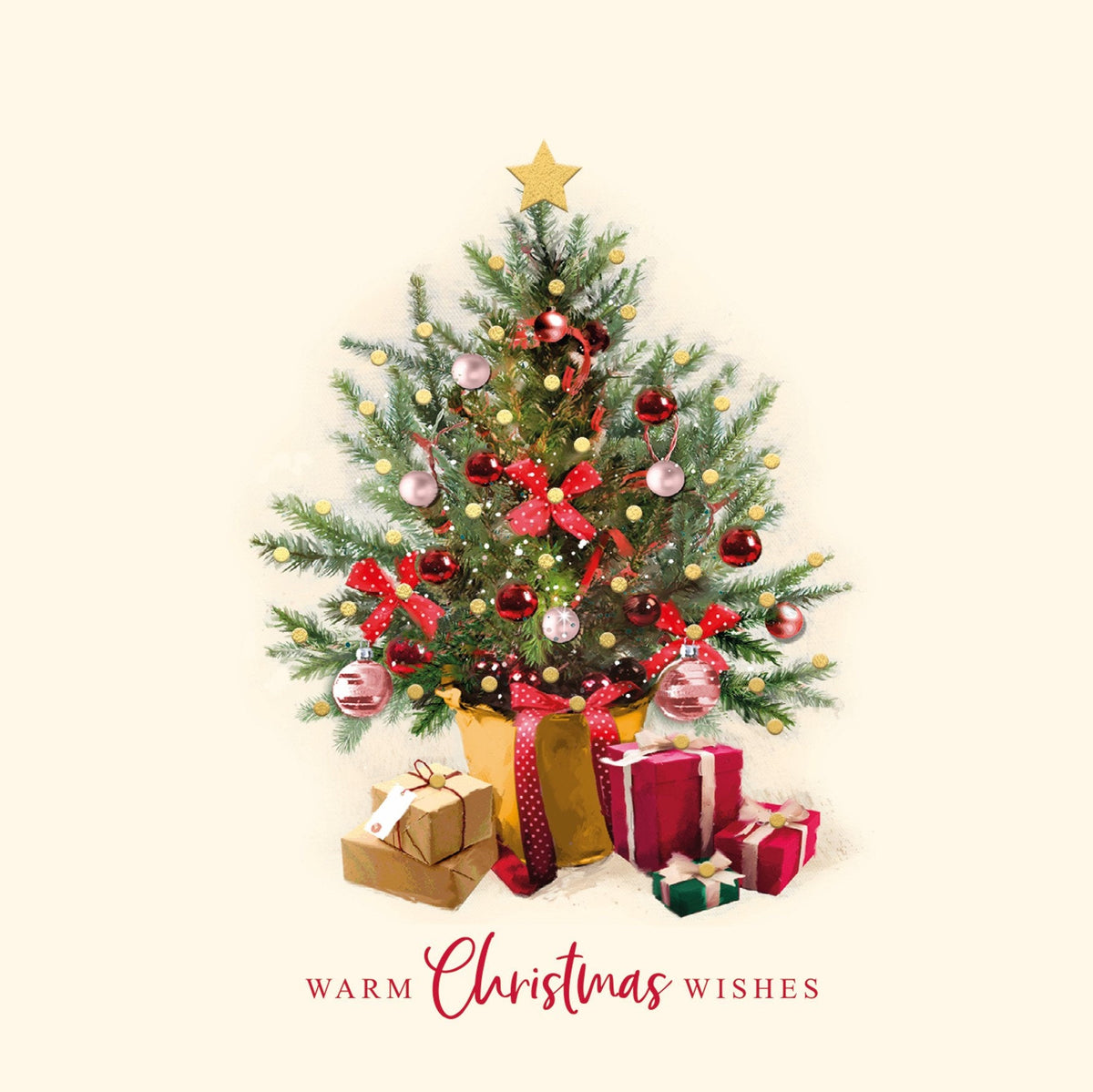 Evergreen Beauty 10 Christmas Cards Cancer Research UK