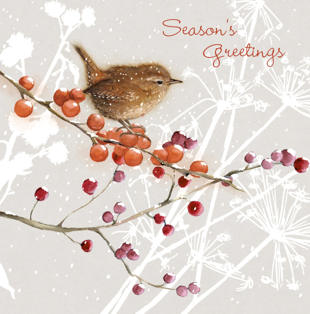 Little Wren at Christmas 10 Christmas Cards