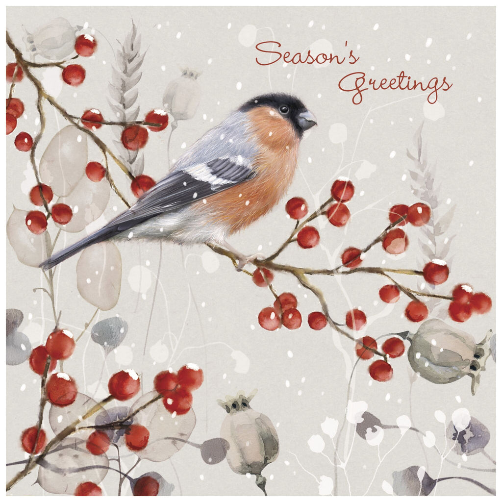 A Christmas card of a bird perched on a branch with red berries and leaves, surrounded by falling snowflakes in a wintery scene. The text 'Season's Greetings' appears in red cursive in the top right corner.