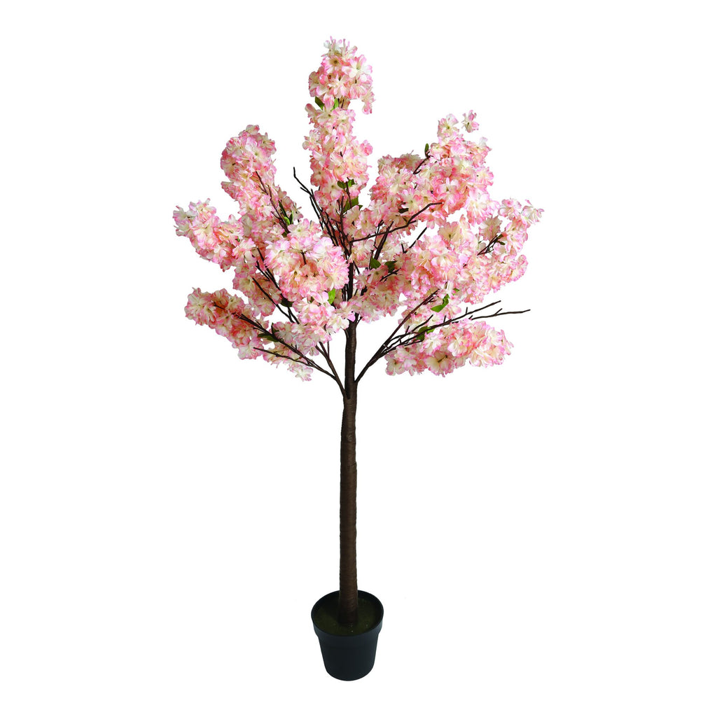 LED Lit Blossom Tree Decoration