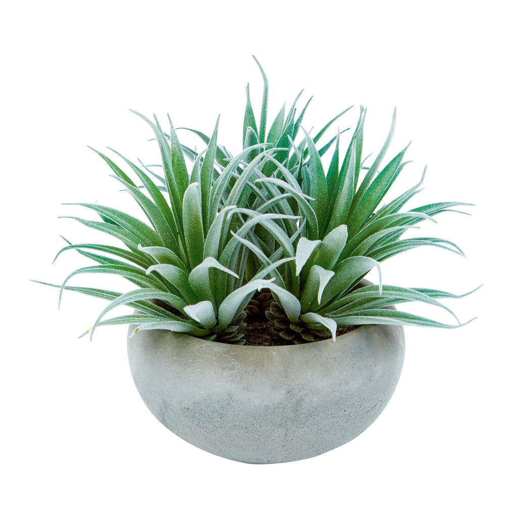 Premier Potted Artificial Succulent Plant