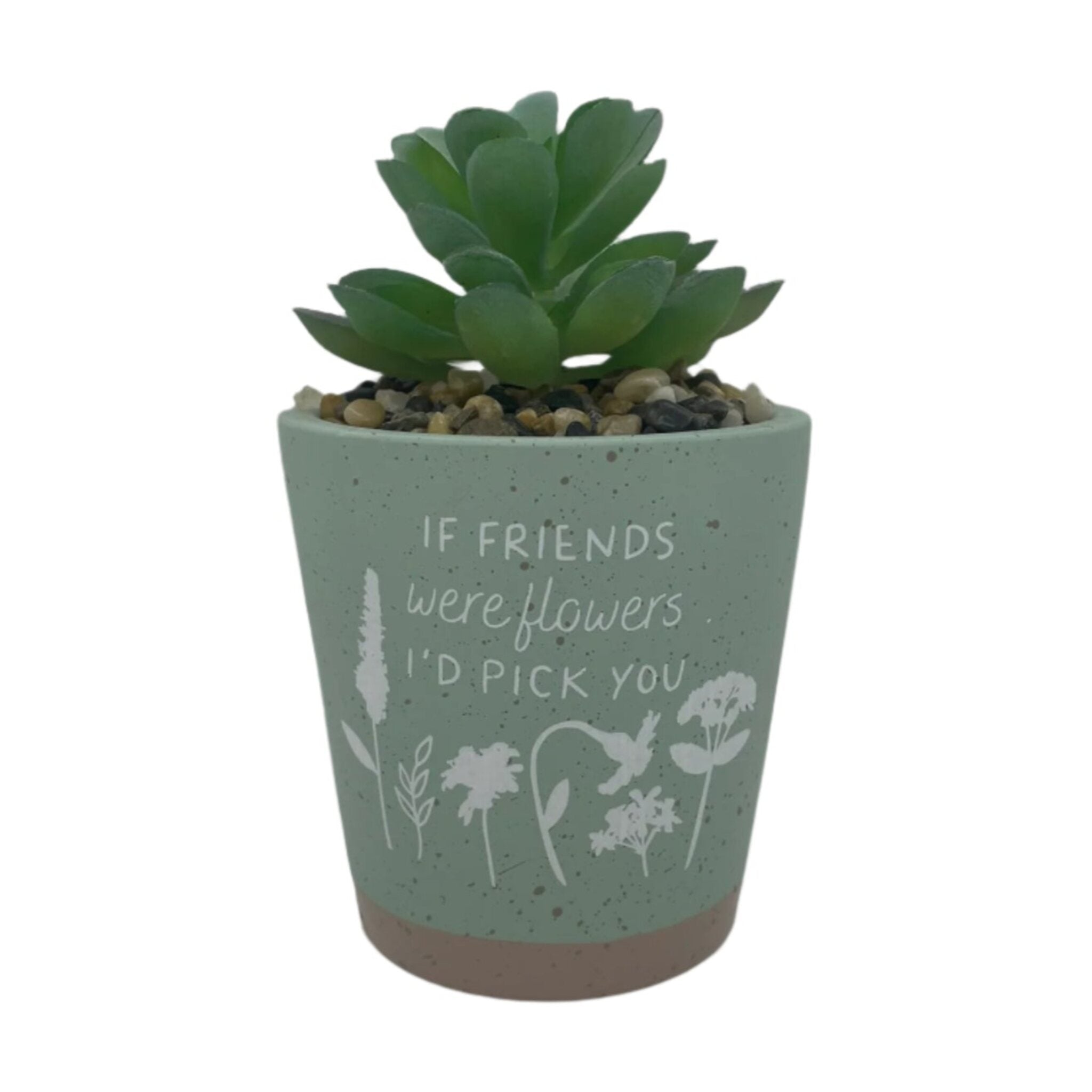 succulent friendship plant If Friends Were Flowers Artificial Succulent Plant – Cancer Research UK
