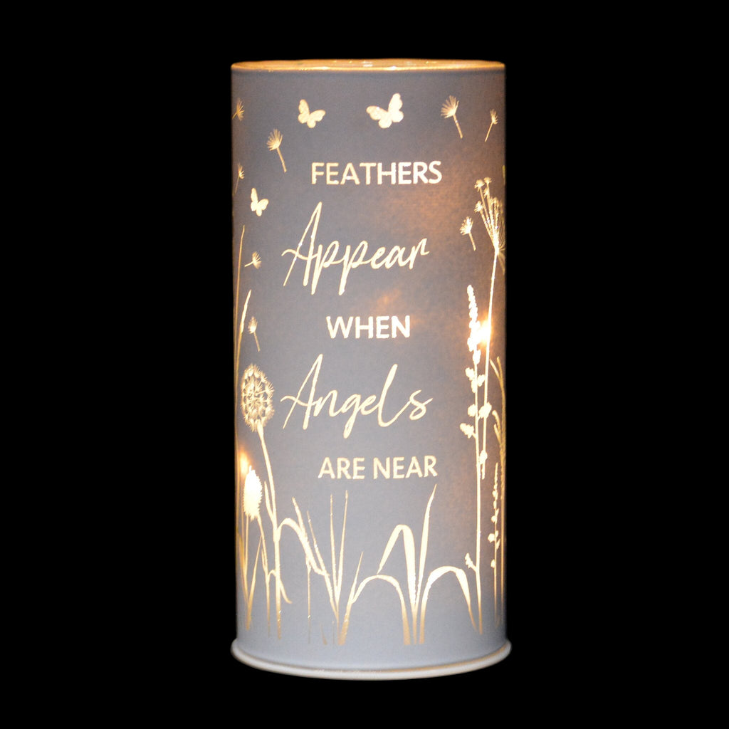 Feathers appear LED remembrance tube light shining in a low light setting.