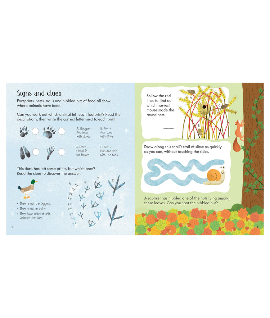 Little Children's Nature Activity Book