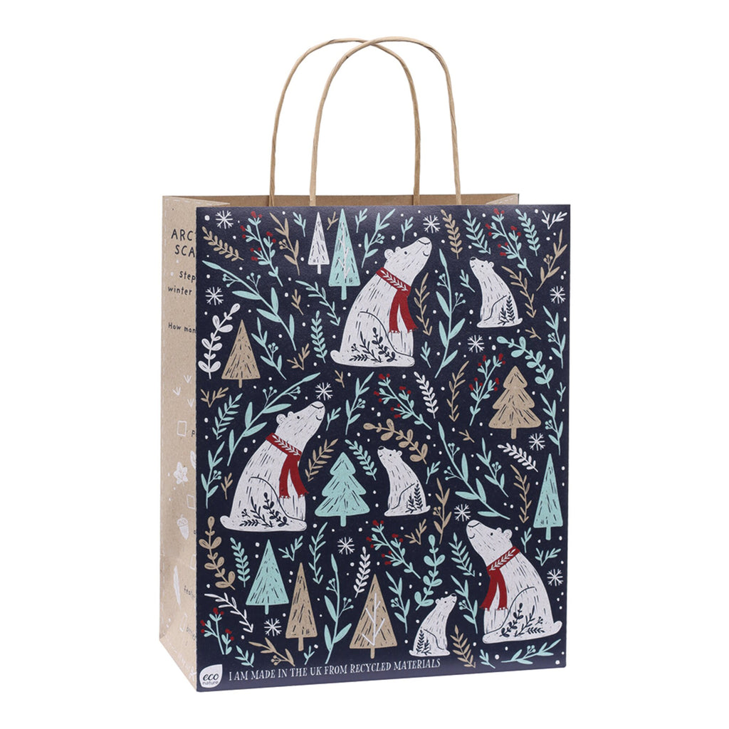 Arctic Explorer Recycled Gift Bag