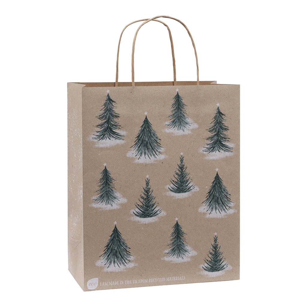 Winter Walks Recycled Gift Bag