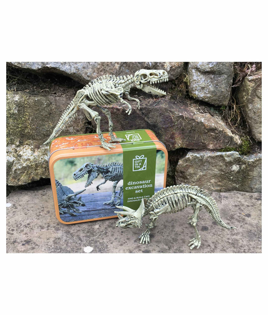 Apples To Pears Gift in a Tin Dinosaur Excavation Kit