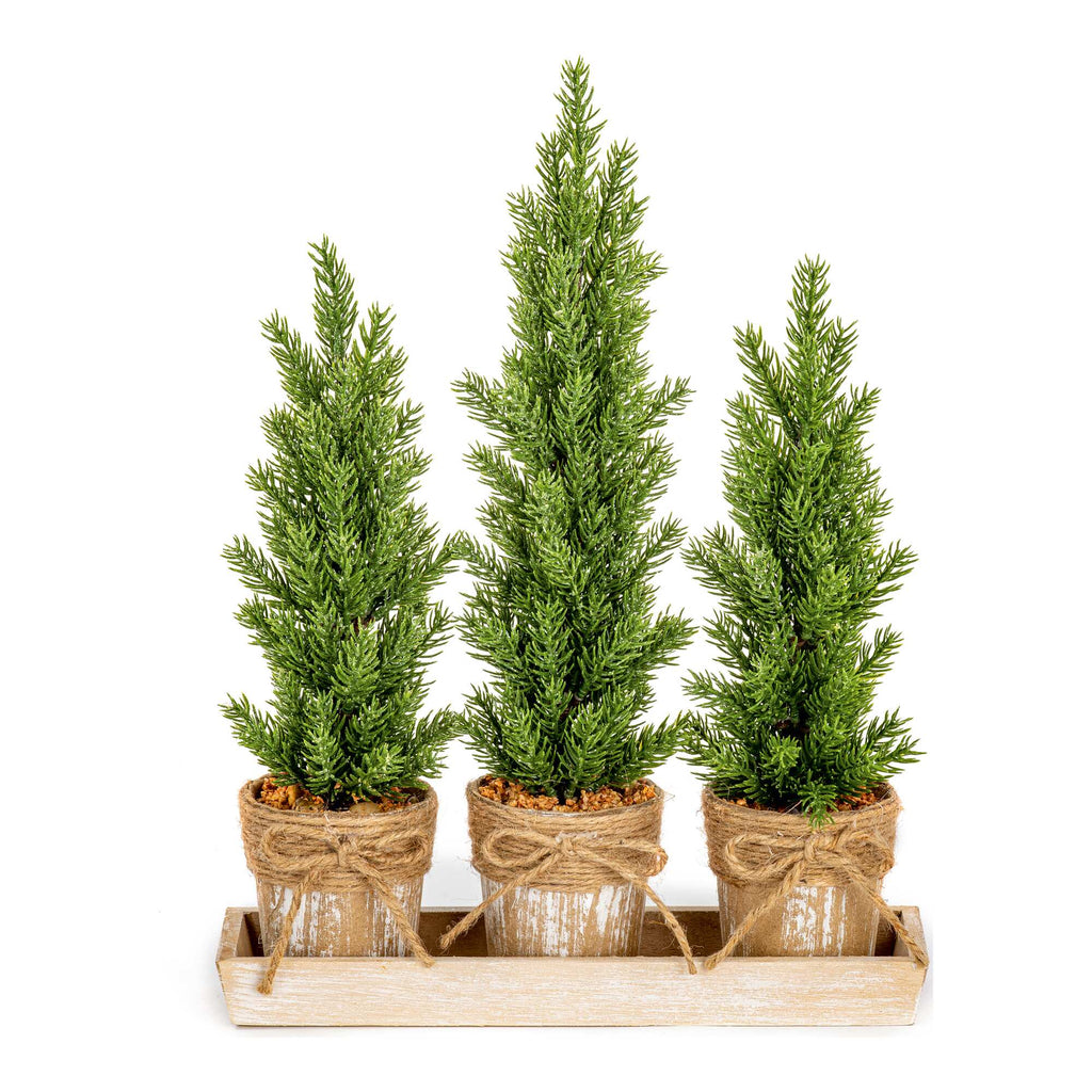 Set of Three Christmas Trees on a Hessian Base