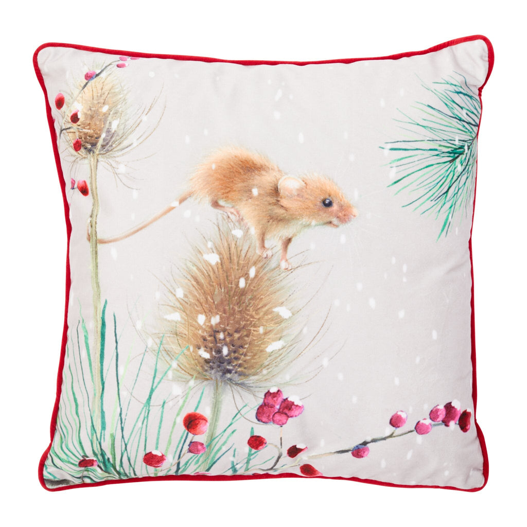 Timmy Mouse Velvet Cushion