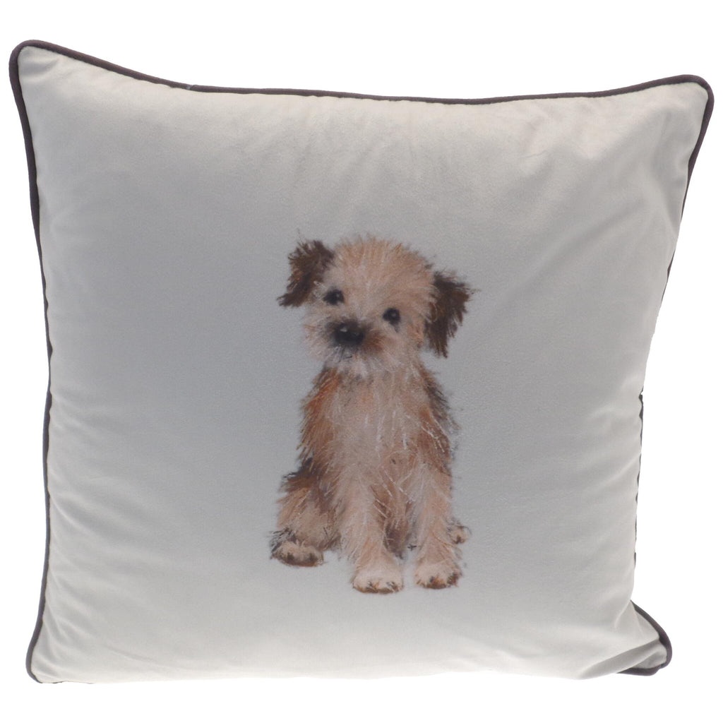 A sweet square cushion that features a Border dog.