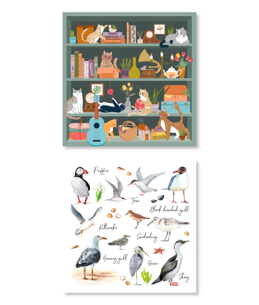 Animal Greetings Cards Multipack