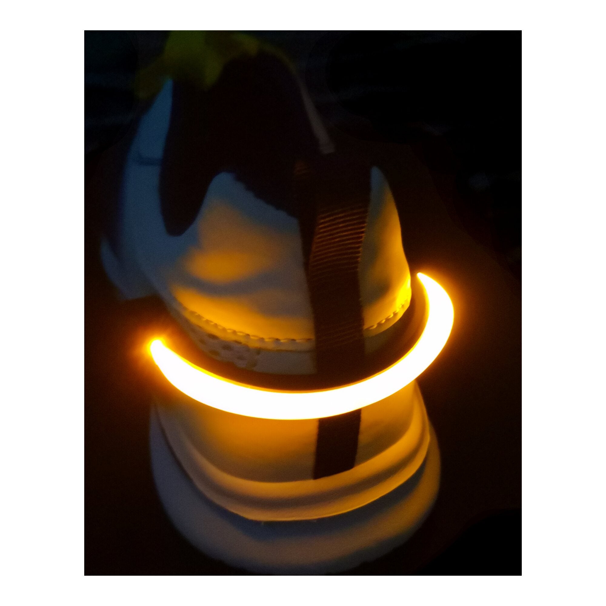 Shine Night Walk LED Lit Trainer Clip – Cancer Research UK