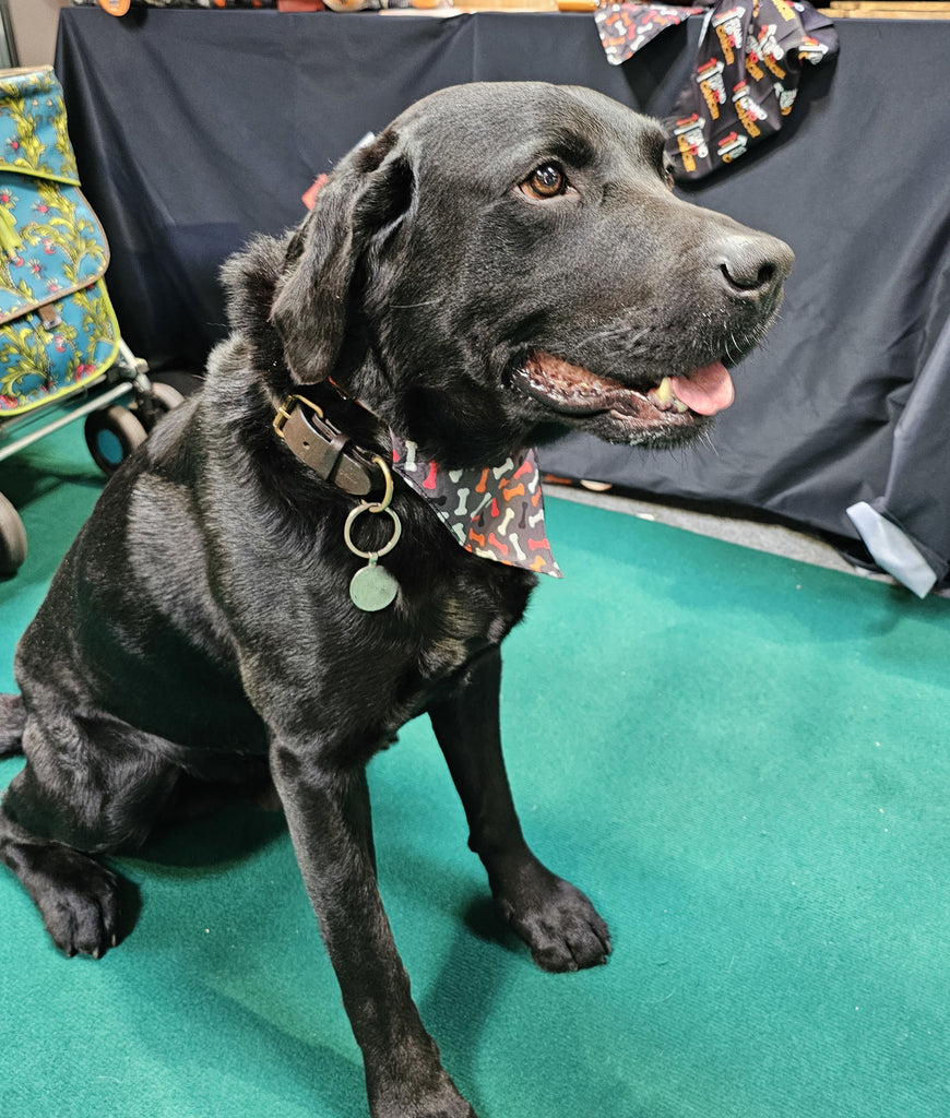 Stand Up To Cancer Dog Bandana