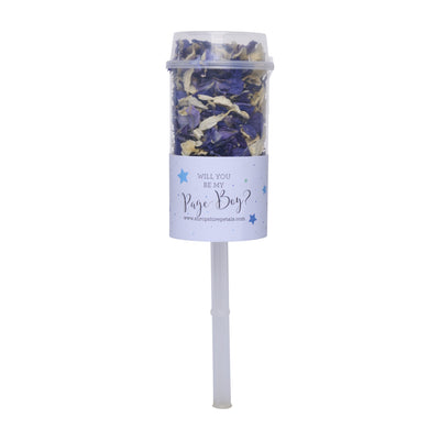 Wedding confetti pop filled with dried petals on a white stick, with a label reading “Will you be my Page Boy?”