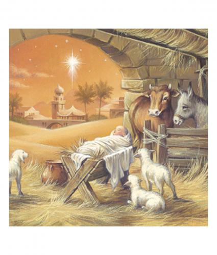cancer research amber nativity christmas card