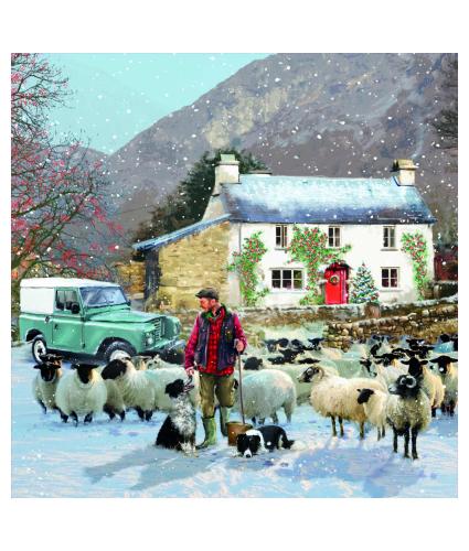 Festive Farmer Christmas Cards - Pack of 10