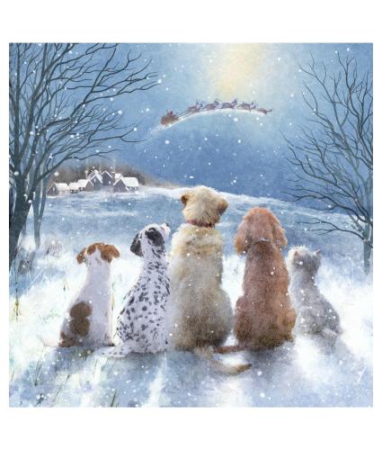 Magical Sight Christmas Cards - Pack of 10