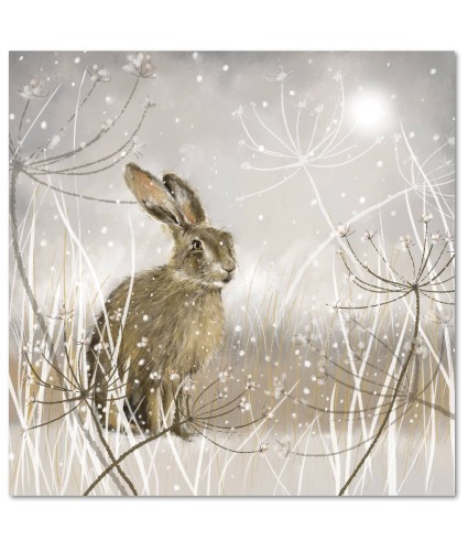 Atmospheric Hare Christmas Cards - Pack of 20