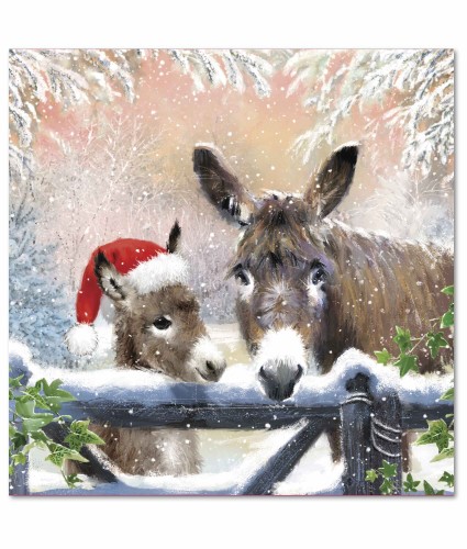 Donkey Duo Christmas Cards - Pack of 10