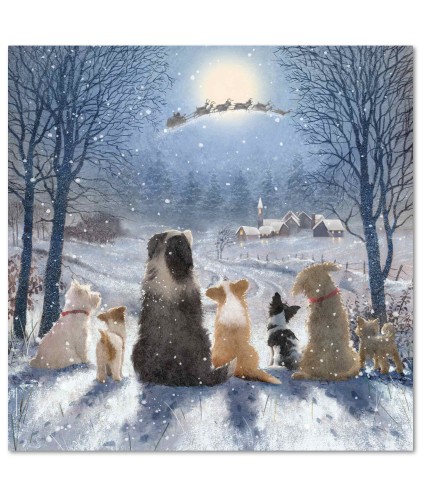 Enchanting Scene Christmas Cards - Pack of 10 or 20
