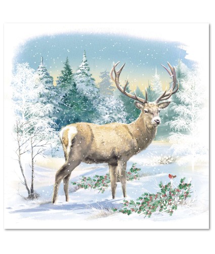 King of the Forest Christmas Cards - Pack of 10