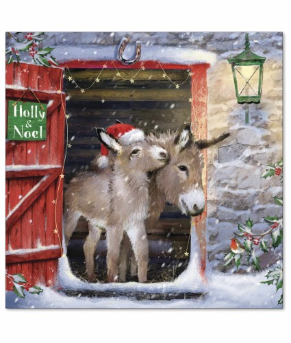 Donkeys in the Doorway Christmas Cards - Pack of 10