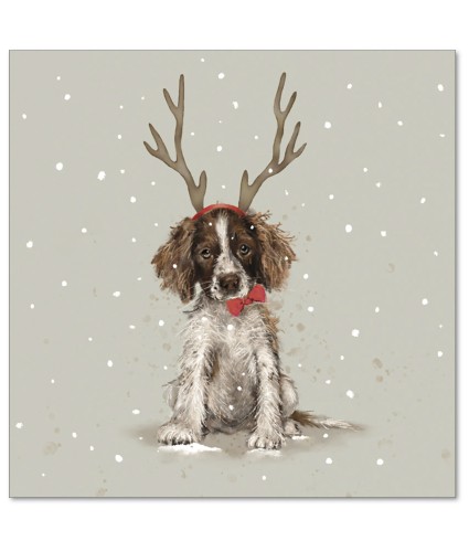 Ernie's Antlers Christmas Cards - Pack of 10