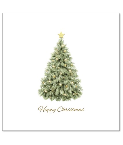 Fantastic Fir Tree Christmas Cards - Pack of 10
