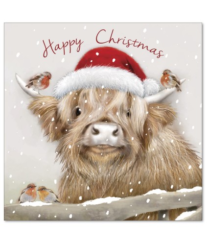 Finlay Feeling Festive Christmas Cards - Pack of 10