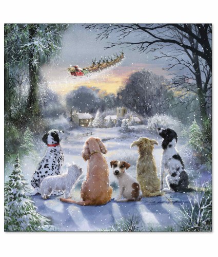 Santa Is On His Way Christmas Cards - Pack of 10