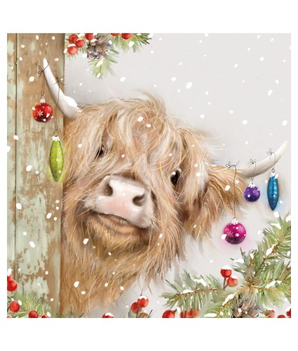 Angus Adorned 10 Christmas Cards