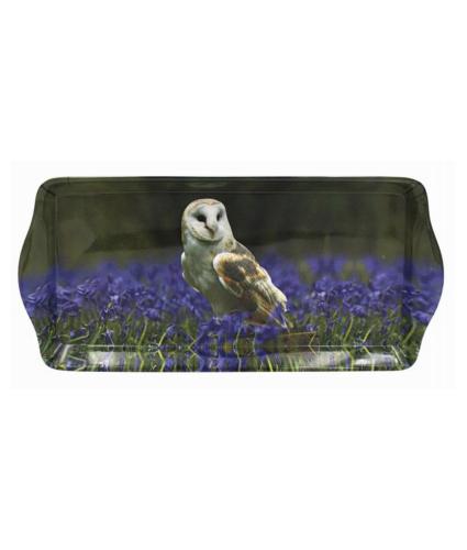 Owl Wildlife Tray - Medium