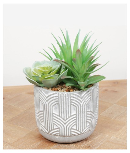 Artificial Green Succulent Plant in Arch Pattern Pot