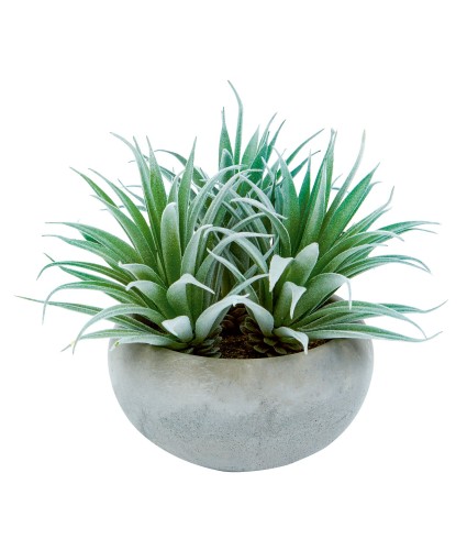 Premier Potted Artificial Succulent Plant