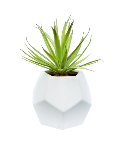 Premier Pentagonal Pot Artificial Succulent Plant