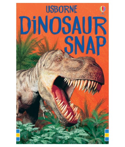 Usborne Dinosaur Snap Cards