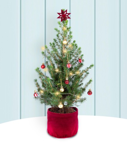 Merry & Bright Letterbox Christmas Tree