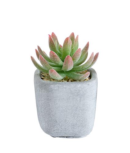 Mini Artificial Succulent Pot