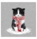 Christmas Cute Kitten Christmas Cards - Pack of 10
