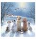 Magical Sight Christmas Cards - Pack of 10