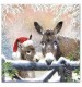Donkey Duo Christmas Cards - Pack of 10