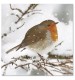 Visiting Friend Christmas Cards - Pack of 10