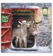 Donkeys in the Doorway Christmas Cards - Pack of 10