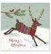 Dressed Up Deer Christmas Cards - Pack of 10