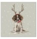 Ernie's Antlers Christmas Cards - Pack of 10