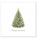 Fantastic Fir Tree Christmas Cards - Pack of 10