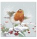 Learning to Fly Christmas Cards - Pack of 10