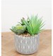 Artificial Green Succulent Plant in Diamond Pattern Pot