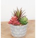 Artificial Pink and Green Succulent Plant in Triangle Pattern Pot